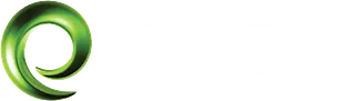 Elfag